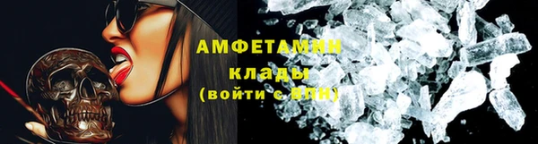 мдпв Бородино