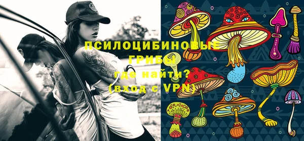mdpv Бронницы