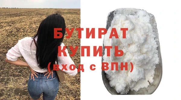 мдпв Бородино