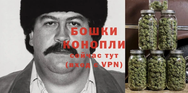 мдпв Бородино