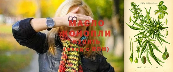мдпв Бородино