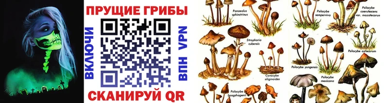 Псилоцибиновые грибы MAGIC MUSHROOMS  Глазов 